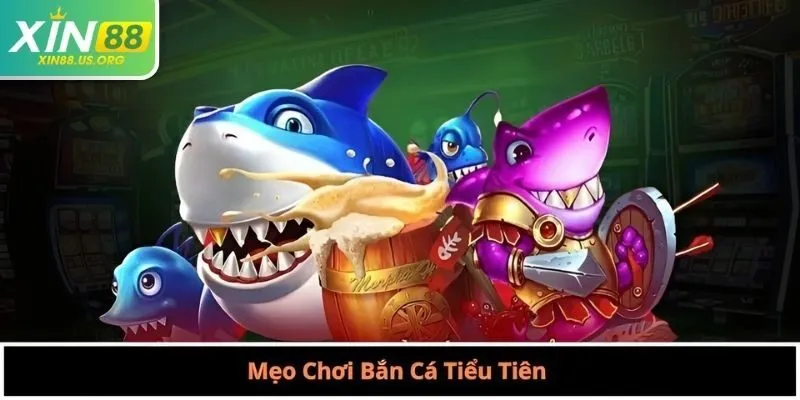 Mẹo Chơi Bắn Cá Tiểu Tiên