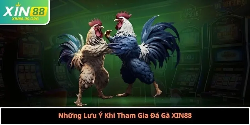 Những Lưu Ý Khi Tham Gia Đá Gà XIN88